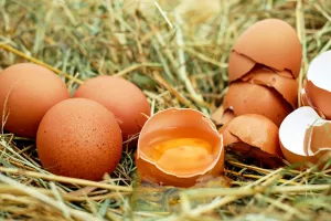 ไข่ไก่ : ประโยชน์ของอาหารเพื่อสุขภาพ