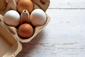 ไข่ไก่ กับ ไข่เป็ด : แตกต่างกันอย่างไร